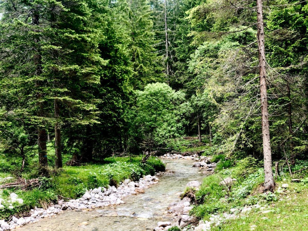 Suite Italy Pinzolo Carisolo Exterior foto